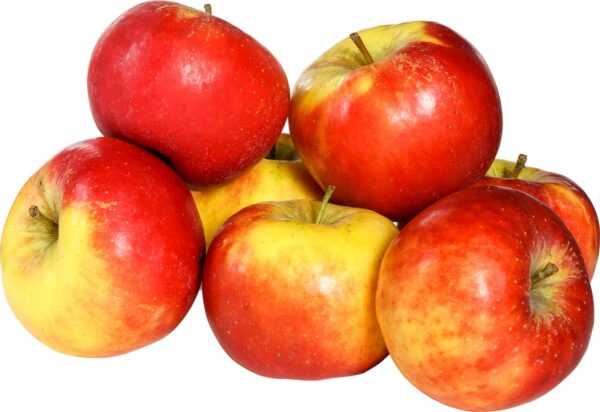 Topaz appels  ( BIO )