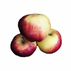 Santana appels  BIO  ( 1 kg )