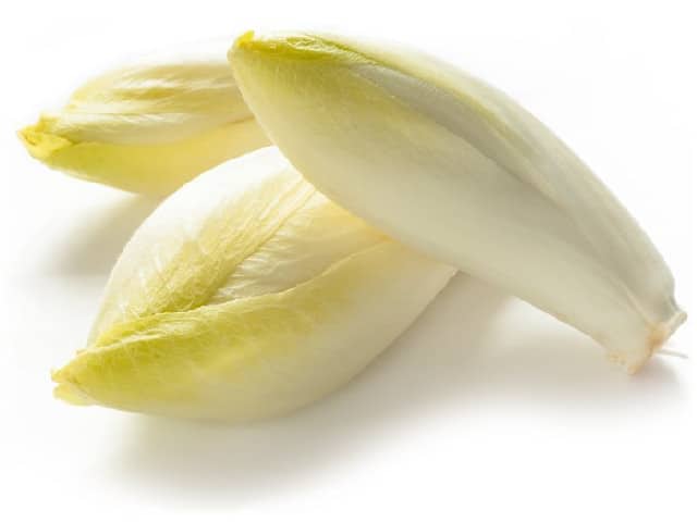Witlof   500 gr.  ( BIO )