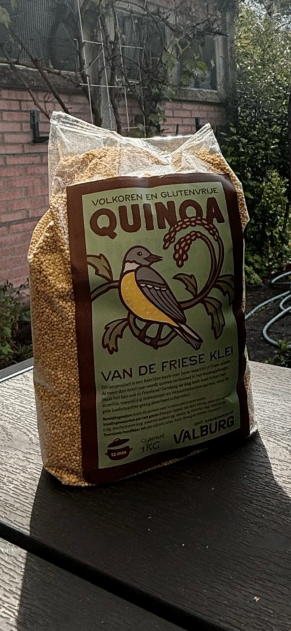 Quinoa