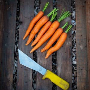 Zomerpeen 1KG