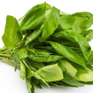 Basilicum bosje   ( bio )