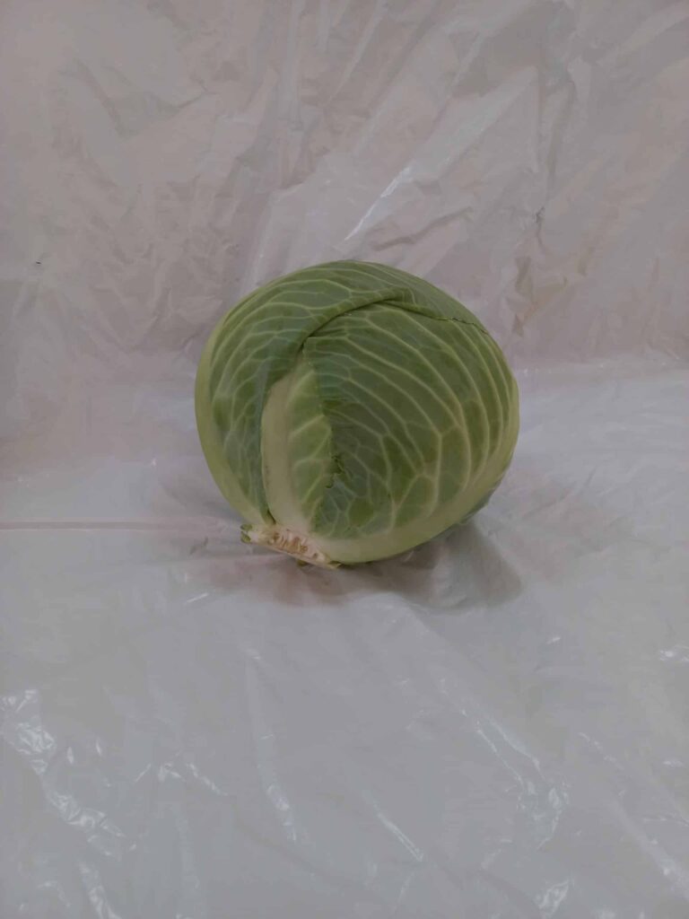 20230804 115355 scaled