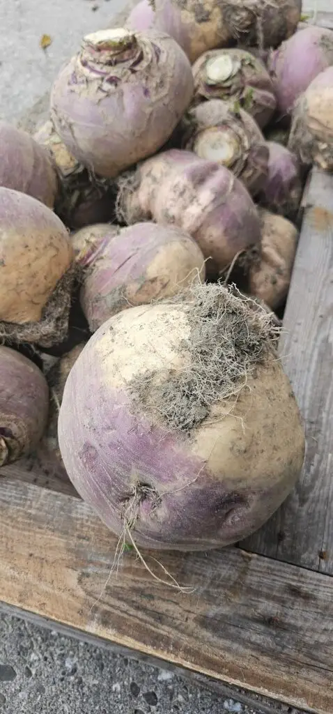 20251001