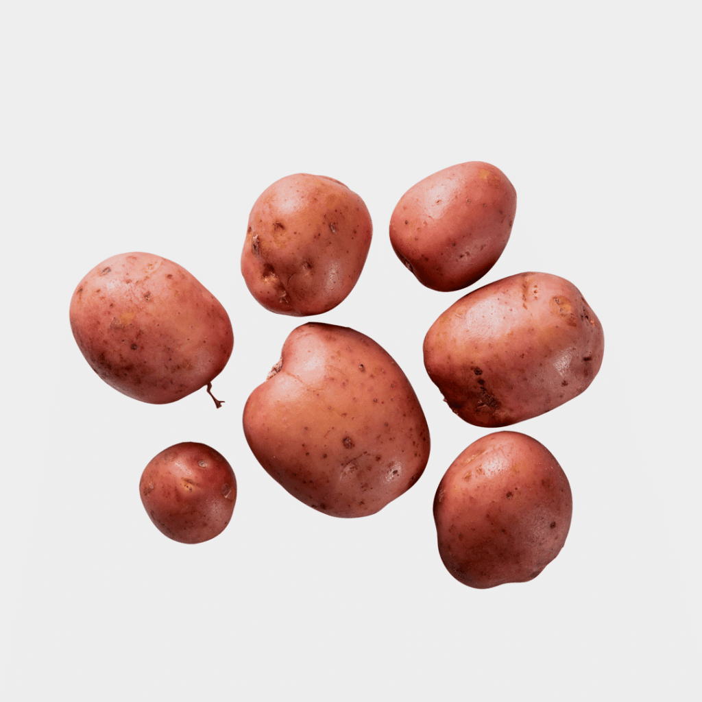 Bildtstar aardappel