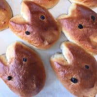 Brioche haasje
