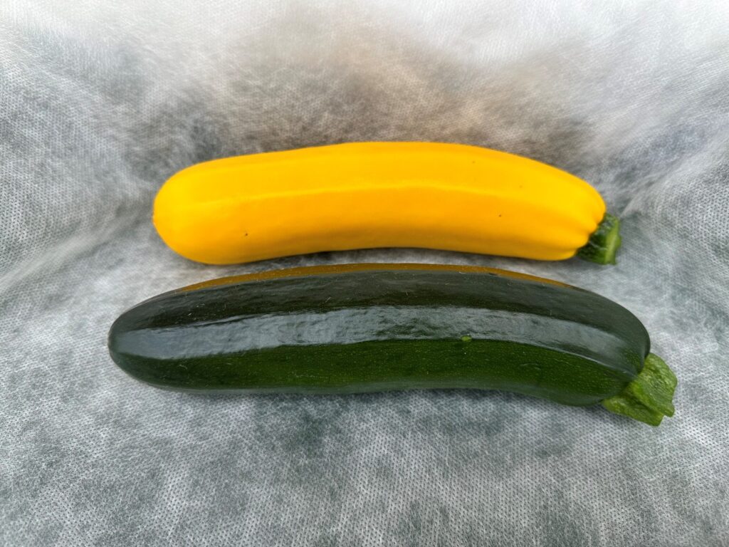 Gele Courgette scaled