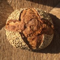 Haverbrood