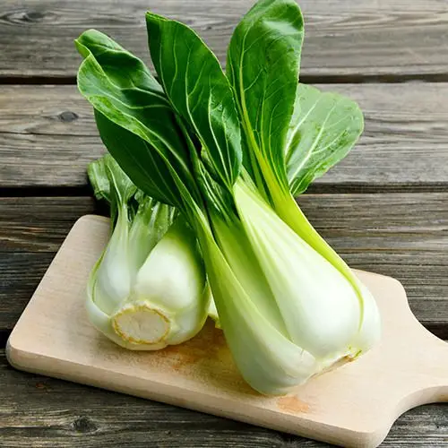 Paksoi
