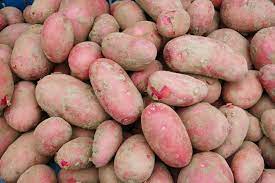 Alouette aardappel