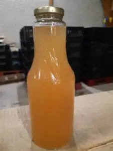 Appelsap de groot scaled