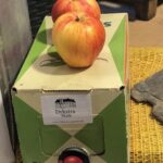 Appelsappak rotated