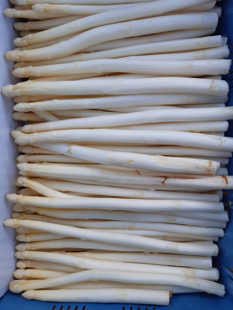 Asperges dun scaled