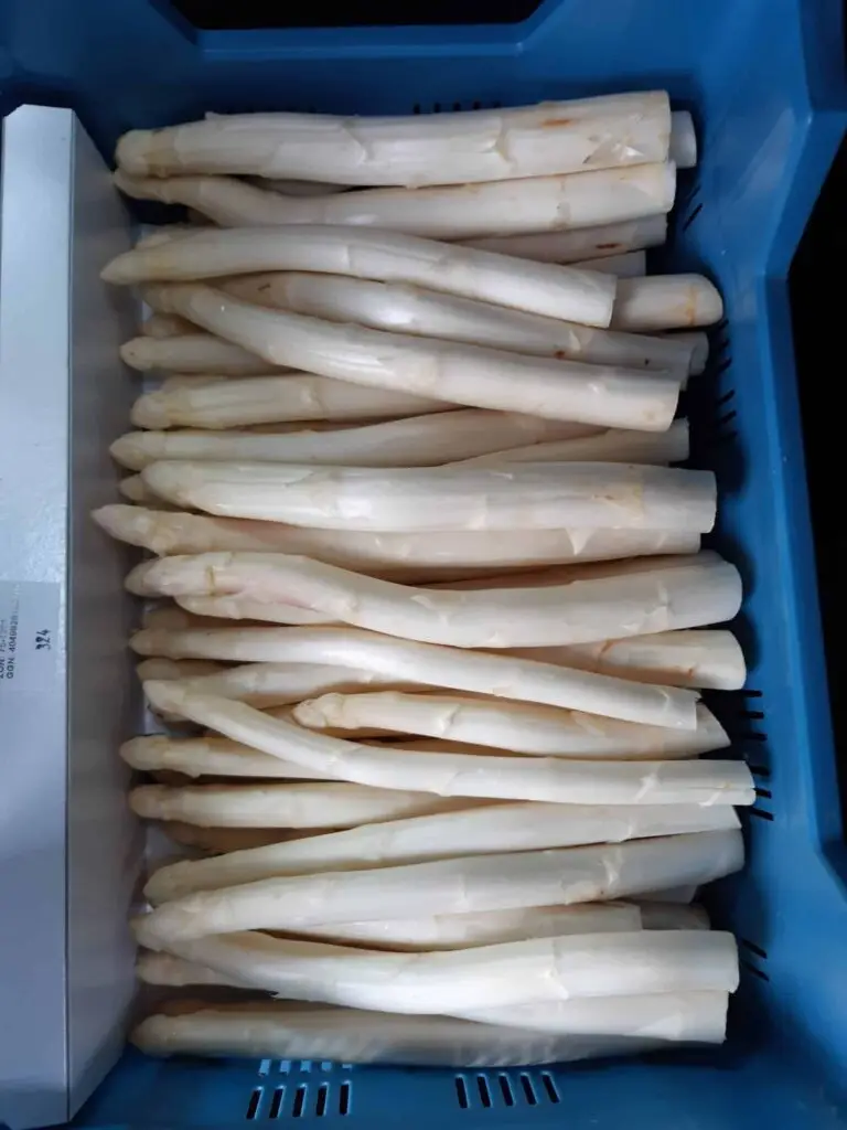 Asperges kaaij scaled