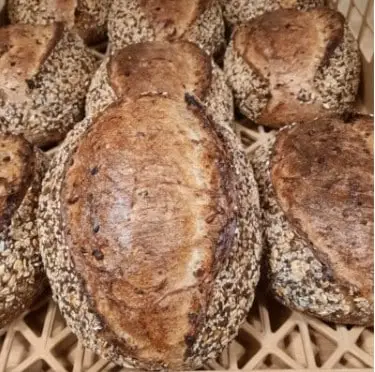 Bierbrood