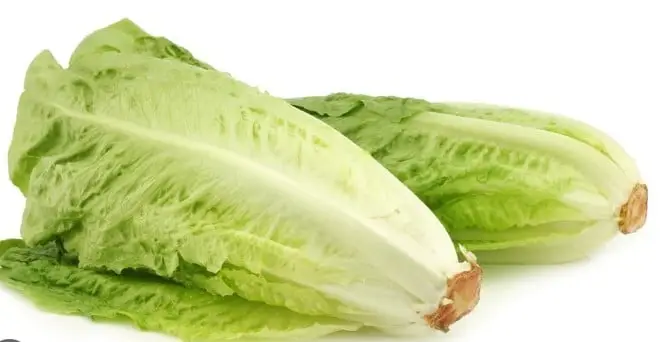 Bindsla groen