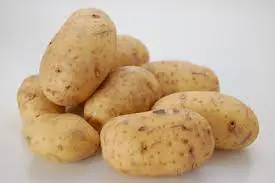 Frieslander