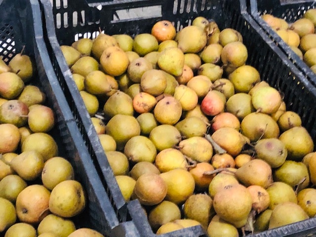 Gieserwildeman
