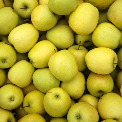 Golden delicious
