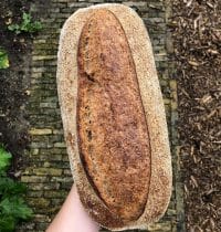Heidebikker spelt desem groot