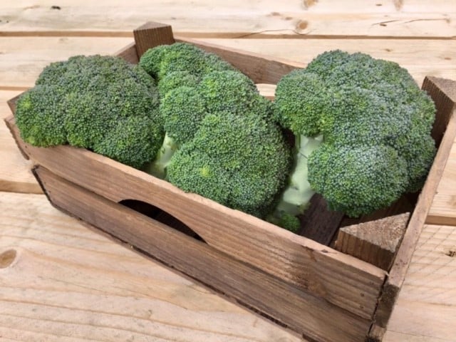 Kistje broccoli