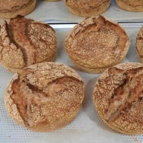 Koepelbrood
