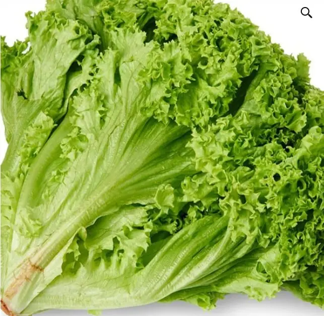 Krulsla groen