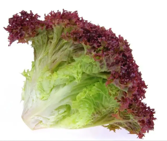 Krulsla rood