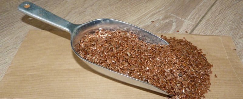 Lijnzaad