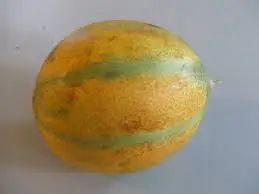 Meloen ogen