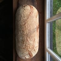 Mennos bole groot