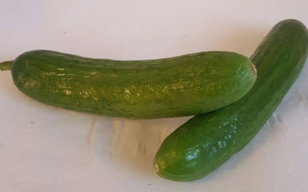 Mini komkommer