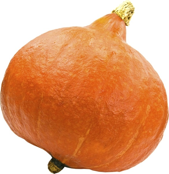 Pompoen oranje