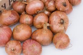 Sjalotten