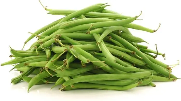 Spercieboon