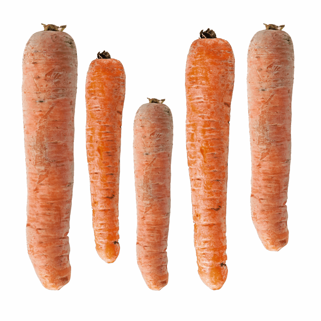 Winterpeen 2500x2