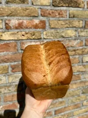 Zweeds wittebrood