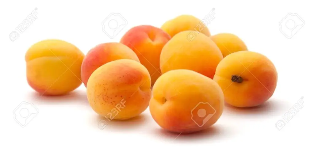 Abrikoos