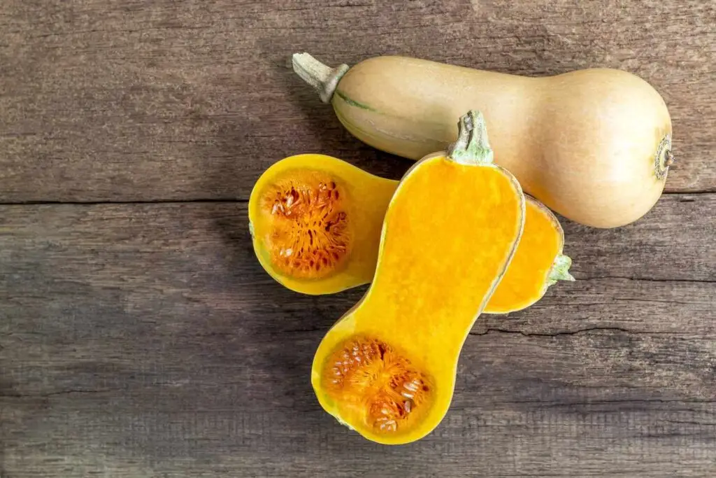 ButternutsquashPong Photo9 7e4cd084a6e7451295de3d74e7848e34
