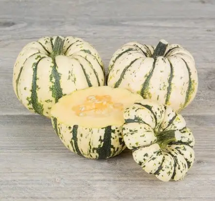 Delicata pompoen sweet dumpling