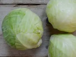 Witte kool de haan